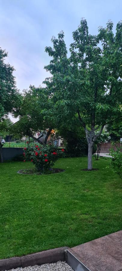 Prenociste Dubravka Daire Livno Dış mekan fotoğraf